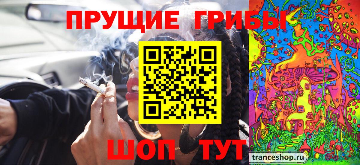Псилоцибиновые грибы GOLDEN TEACHER  Вход с VPN  Нефтекумск  Галлюциногенные грибы Magic Shrooms 